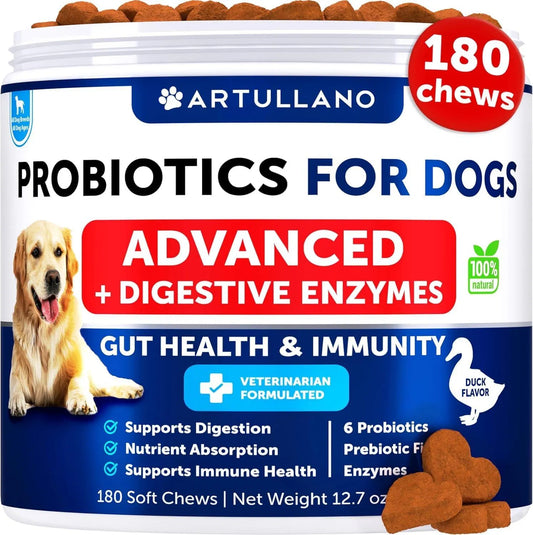 Probiotics For Dogs Support Gut Health Itchy Skin Allergies Immunity