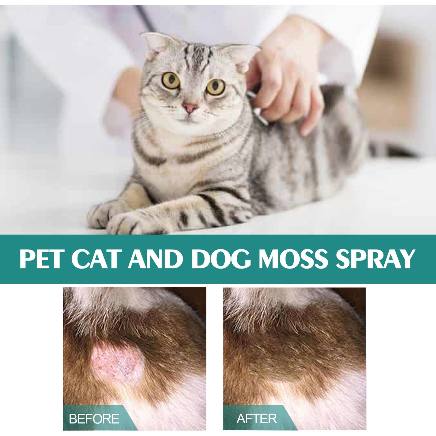 Pet Skin Moss Care Anti-itching Spray