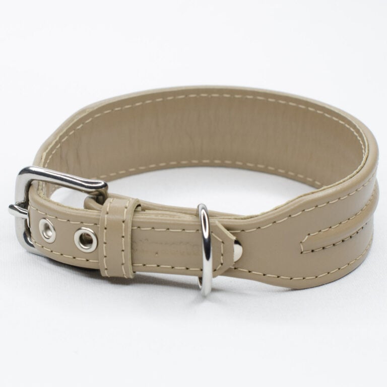 Wide Leather Dog Collar