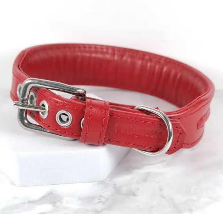Wide Leather Dog Collar