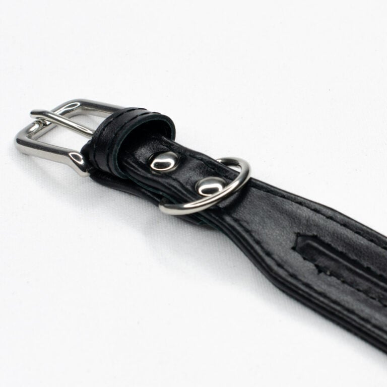 Wide Leather Dog Collar